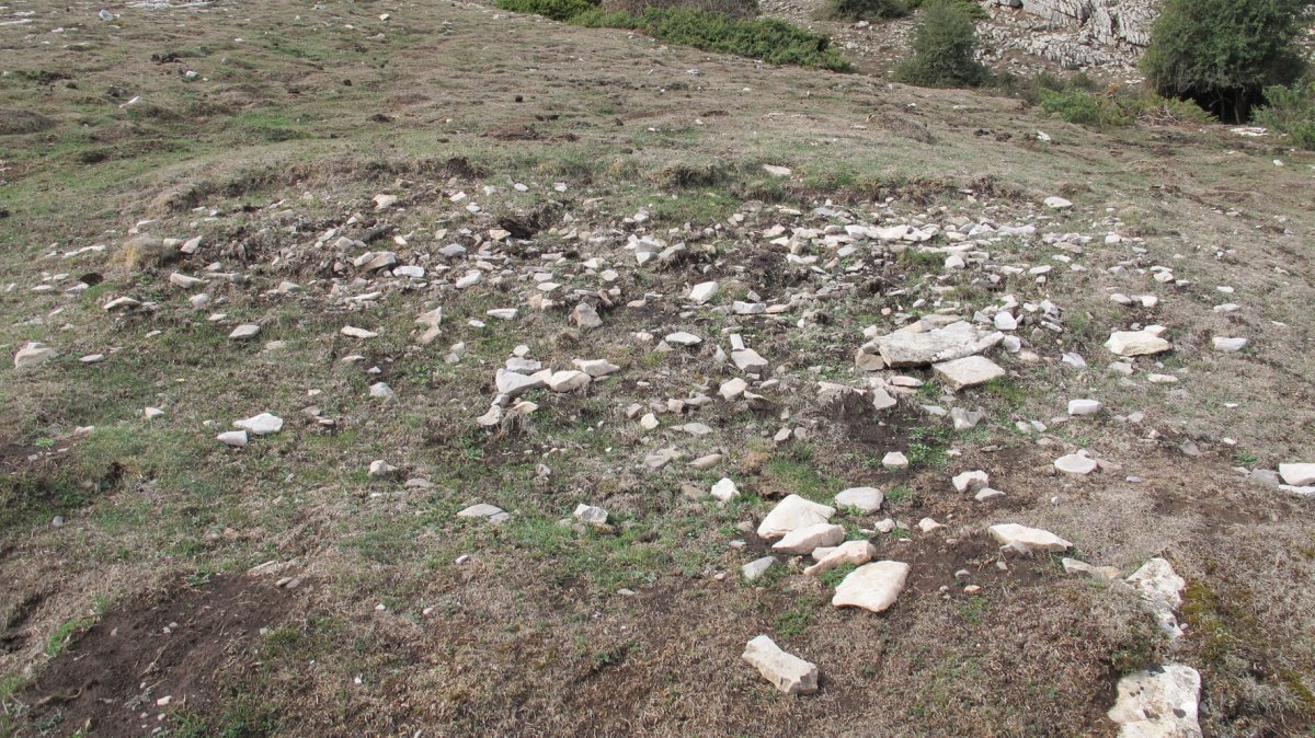 Alzemear 4 etxola hondoa, Andia