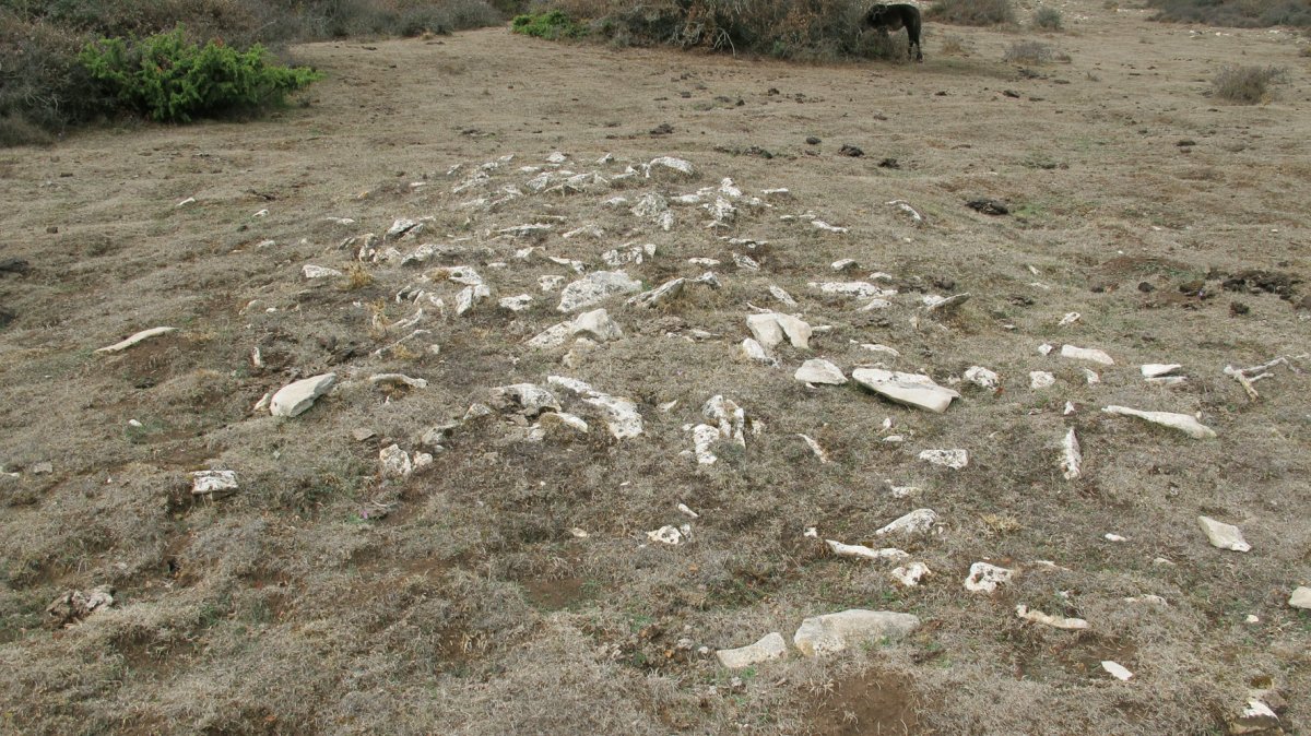 Urdintxa 2 tumulua, Andia