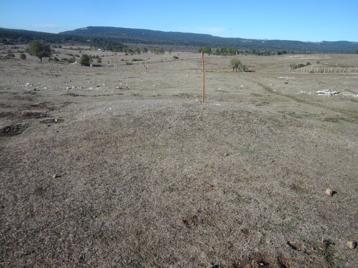 Túmulo Majadas de Allo 3 (octubre 2022)