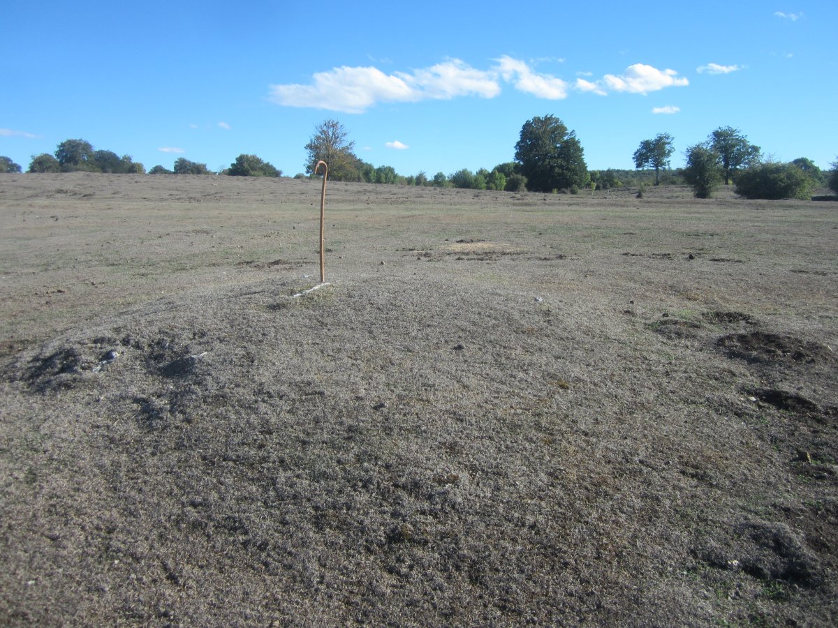 Túmulo Majadas de Allo 3 (octubre 2022)