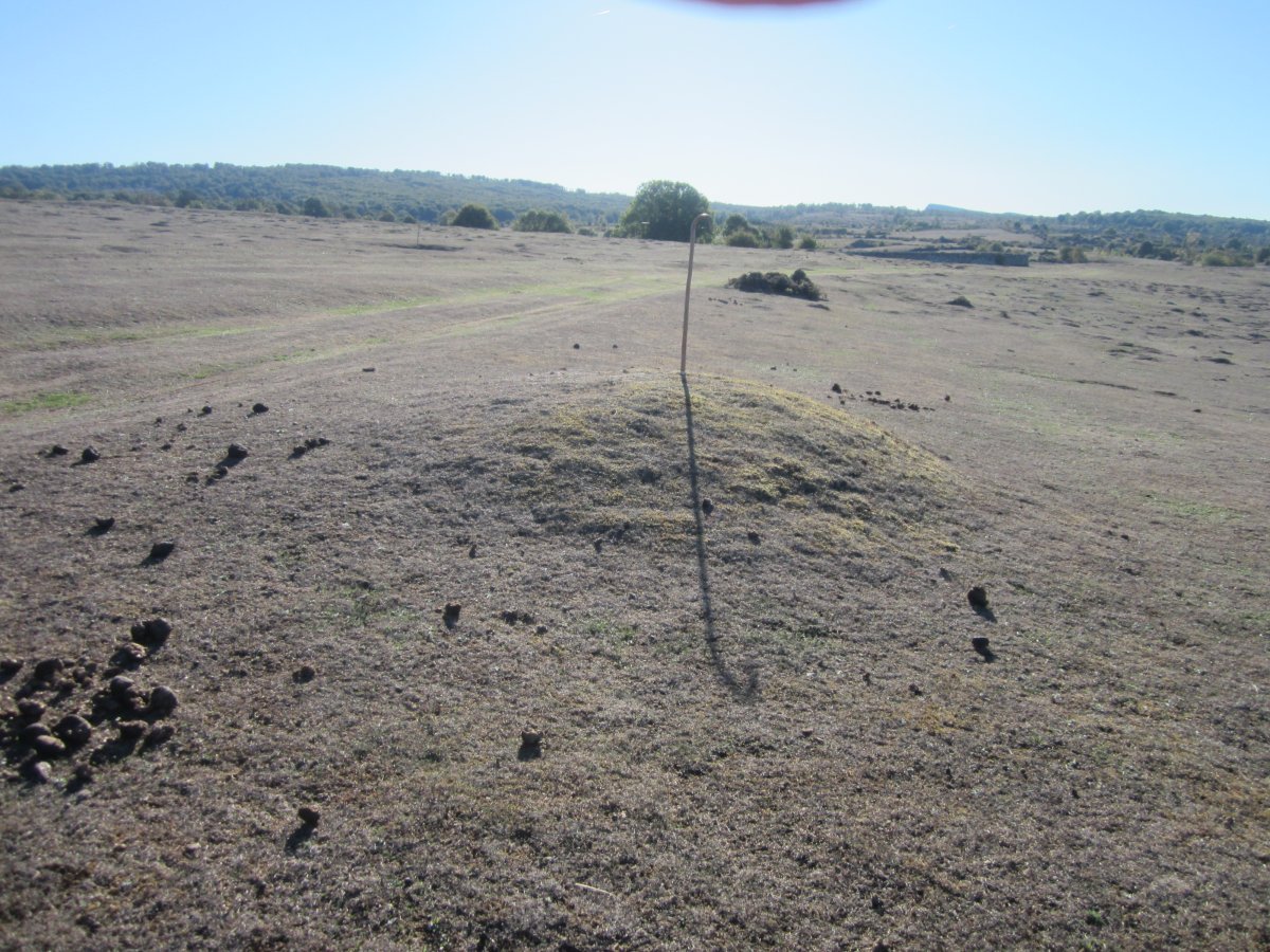 Fondo de Cabaña Majadas de Allo 1  (Octubre 2022)