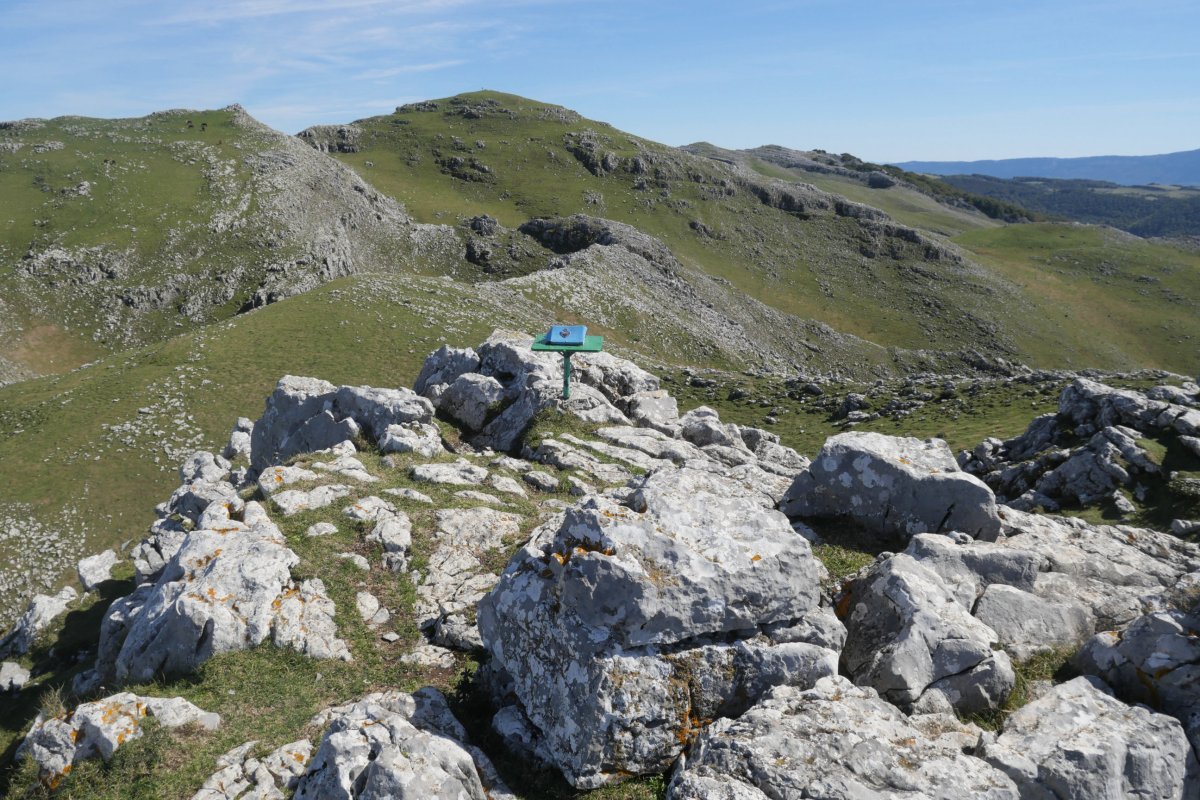 Tontorra, Ganboatxiki