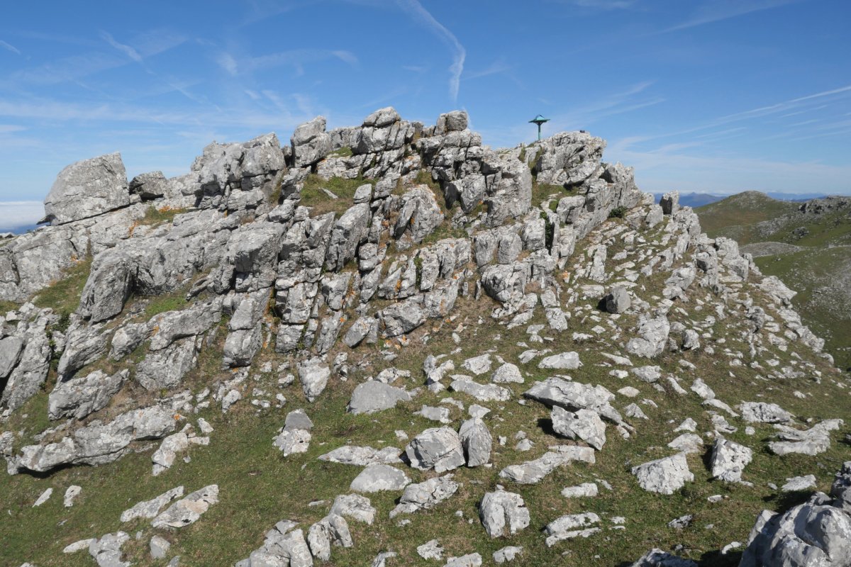 Tontorra, Ganboatxiki