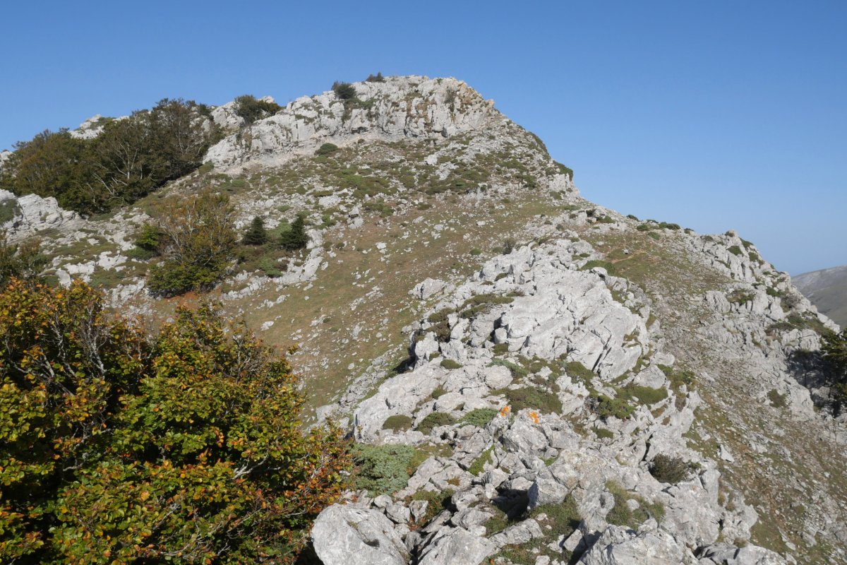 Pardarri: hegoaldeko bizkarreko pasarte bat (bidea eskubi aldean ikusten da)