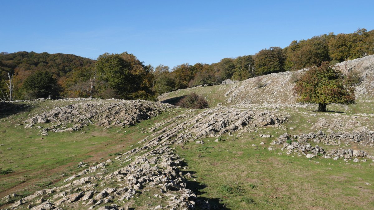 HEko larre eremua, Uazkuru