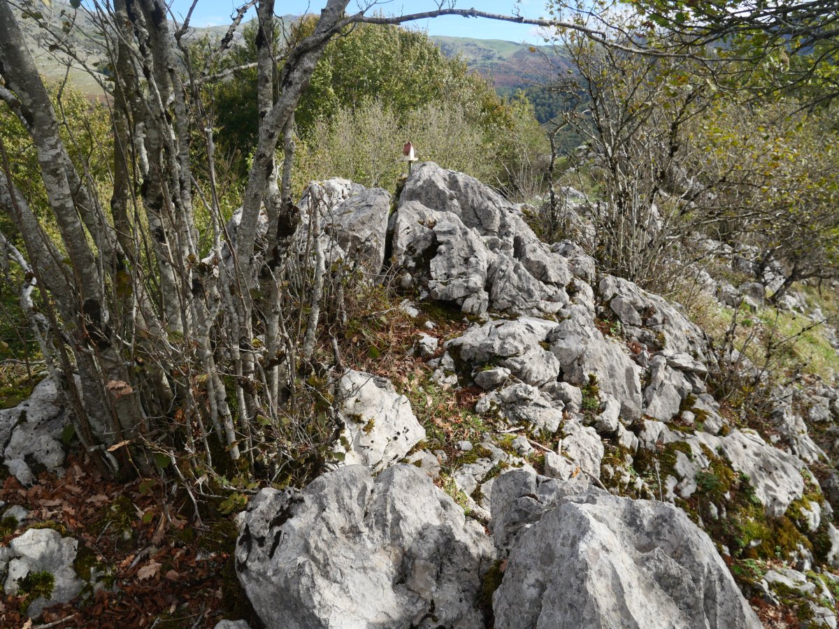 Akaitztxikiko tontorra