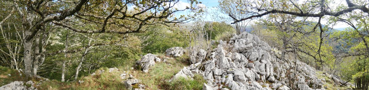 Tontorra, Akaitztxiki