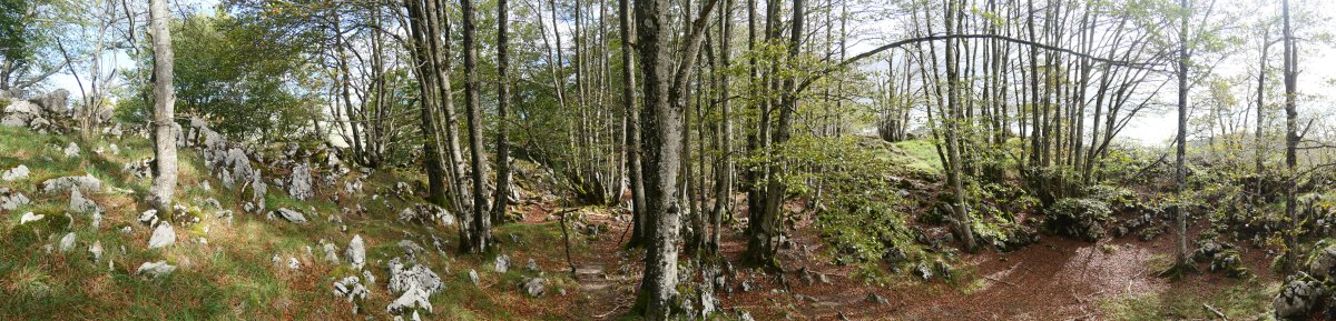 Tontorraren inguruak, Akaitztxiki