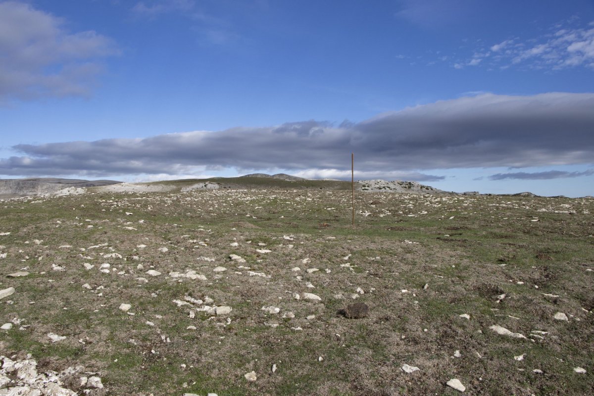 San Donatoko Bidea 2