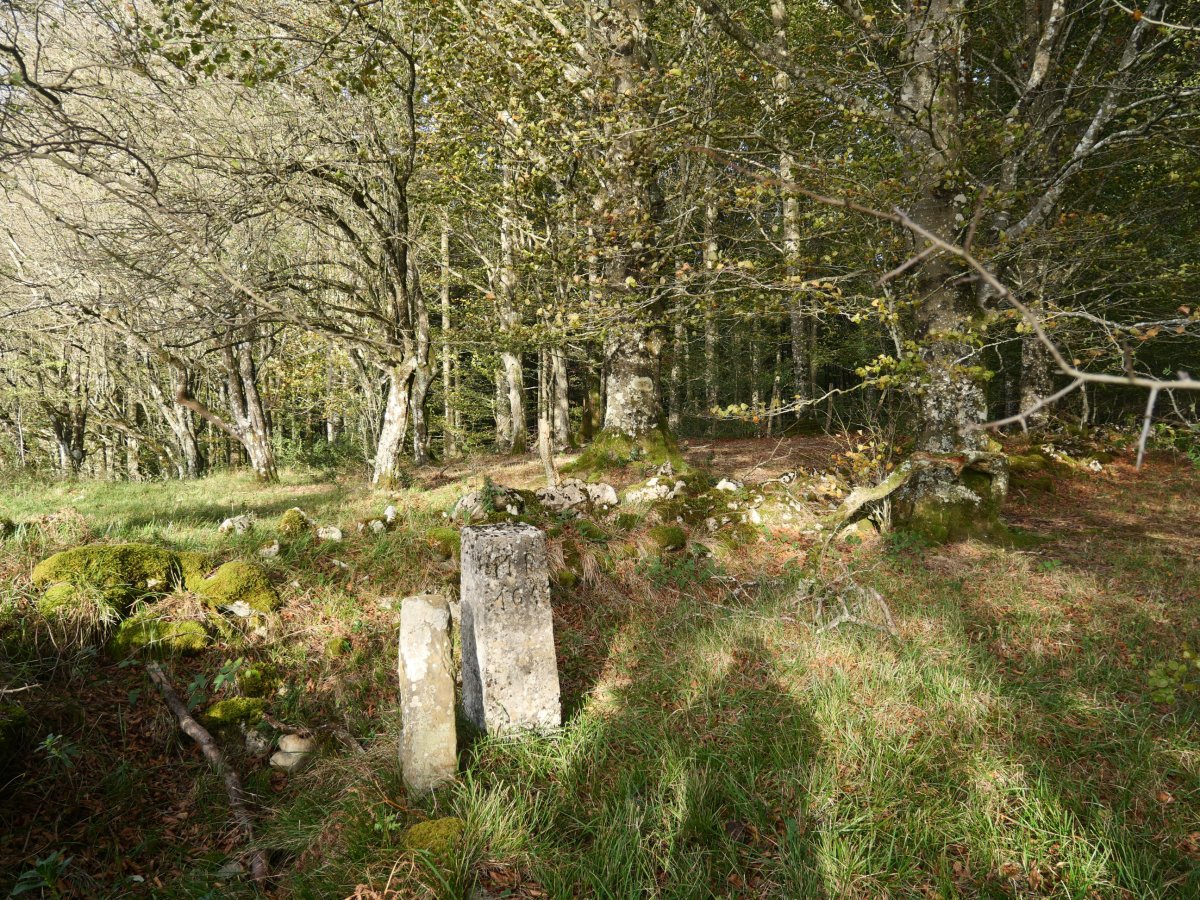 Mugarriak Menditxiki gailurrean