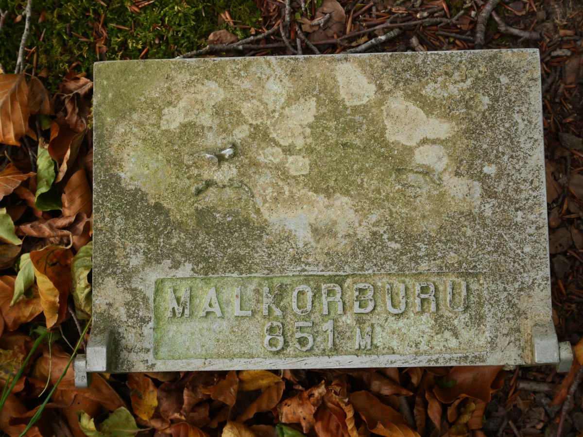 Txartelontzia, Malkorburu