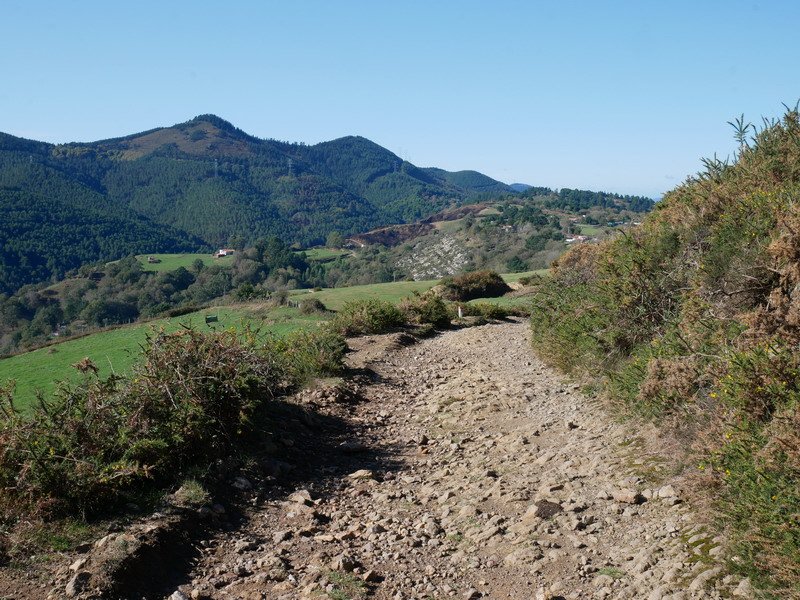 Jaitsierako bidearen pasarte bat