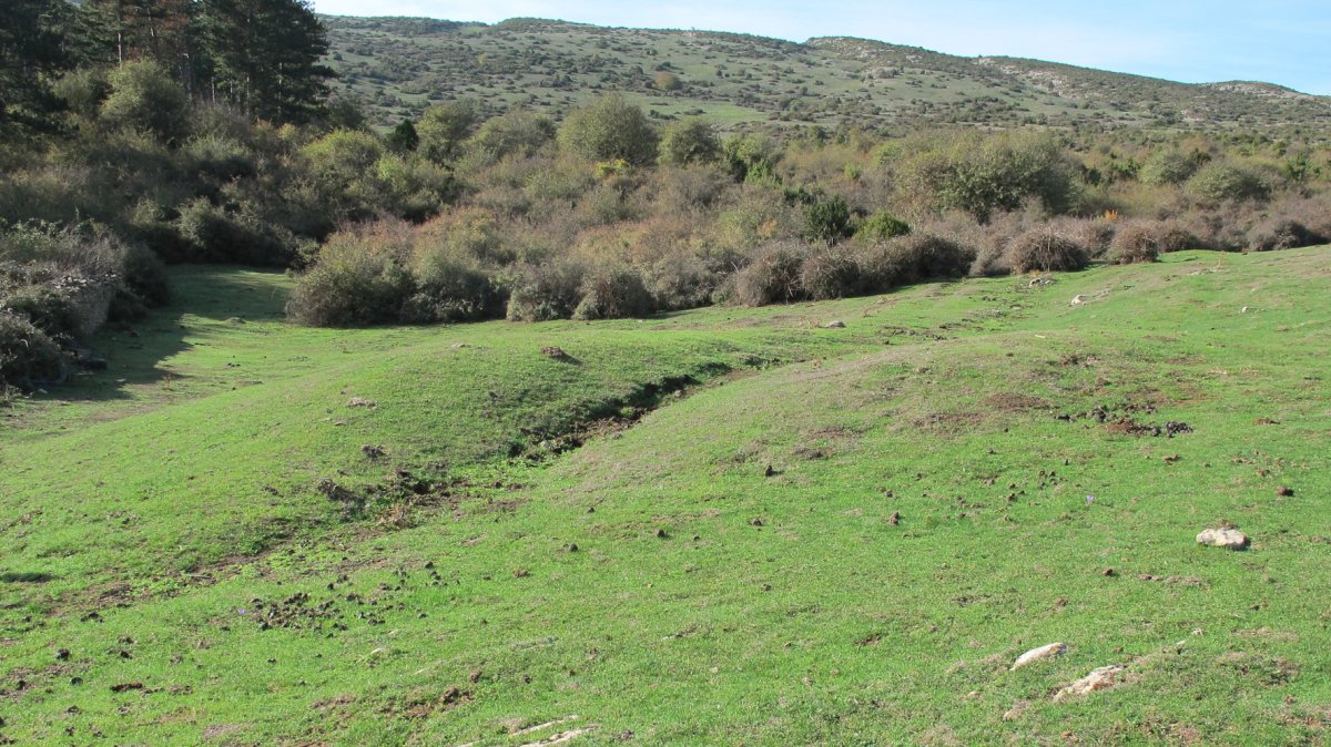 Borda Berri 1 etxola hondoa, Andia