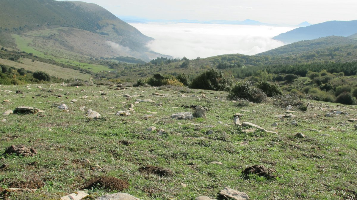 Borda Berri 2 eraztun tumulua, Andia