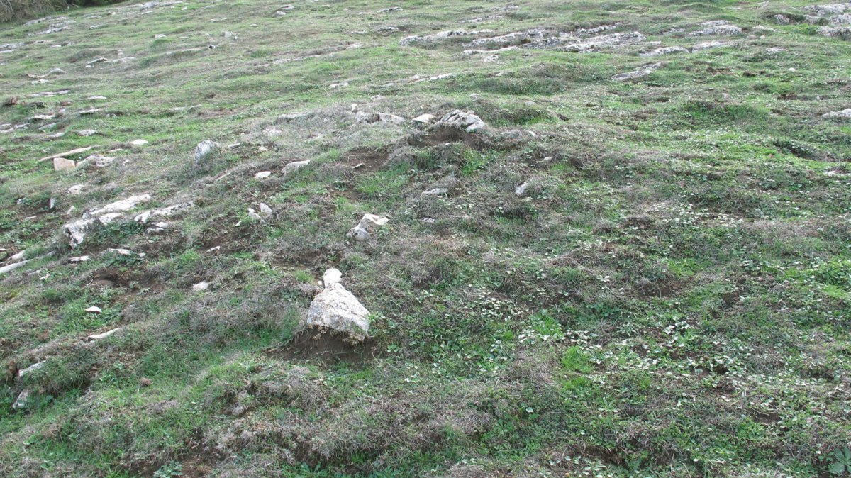 Urdintxa 4 tumulua, Andia