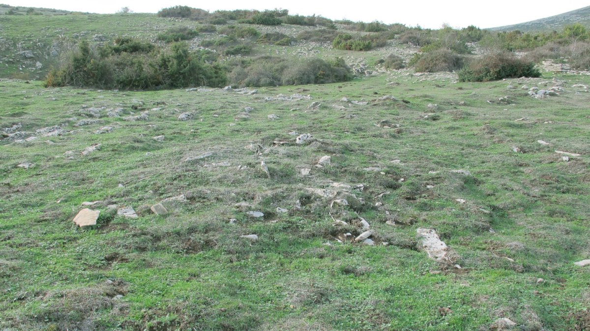 Urdintxa 4 tumulua, Andia