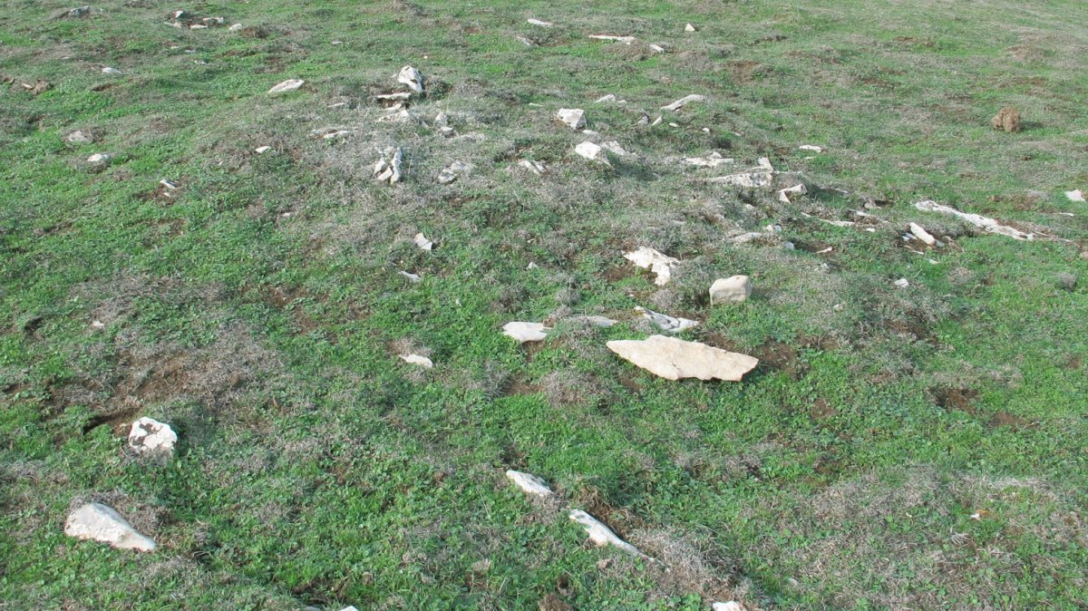 Urdintxa 4 tumulua, Andia