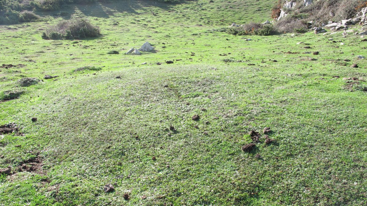 El Castillo etxola hondoa, Andia