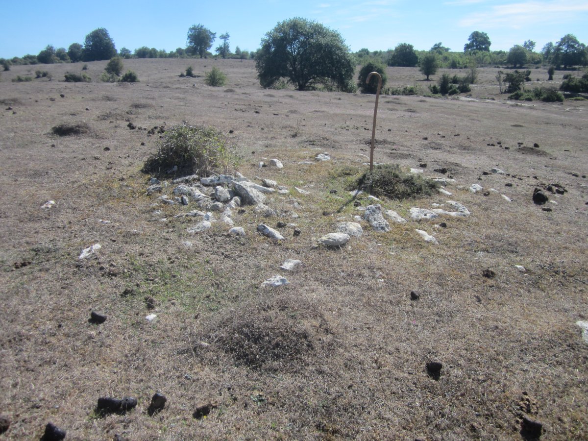 Túmulo El Ginebral* (Septiembre 2022)