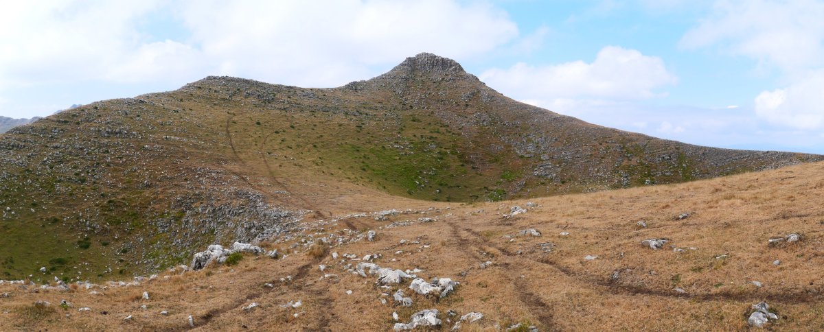 Egurtegi txartelontzia