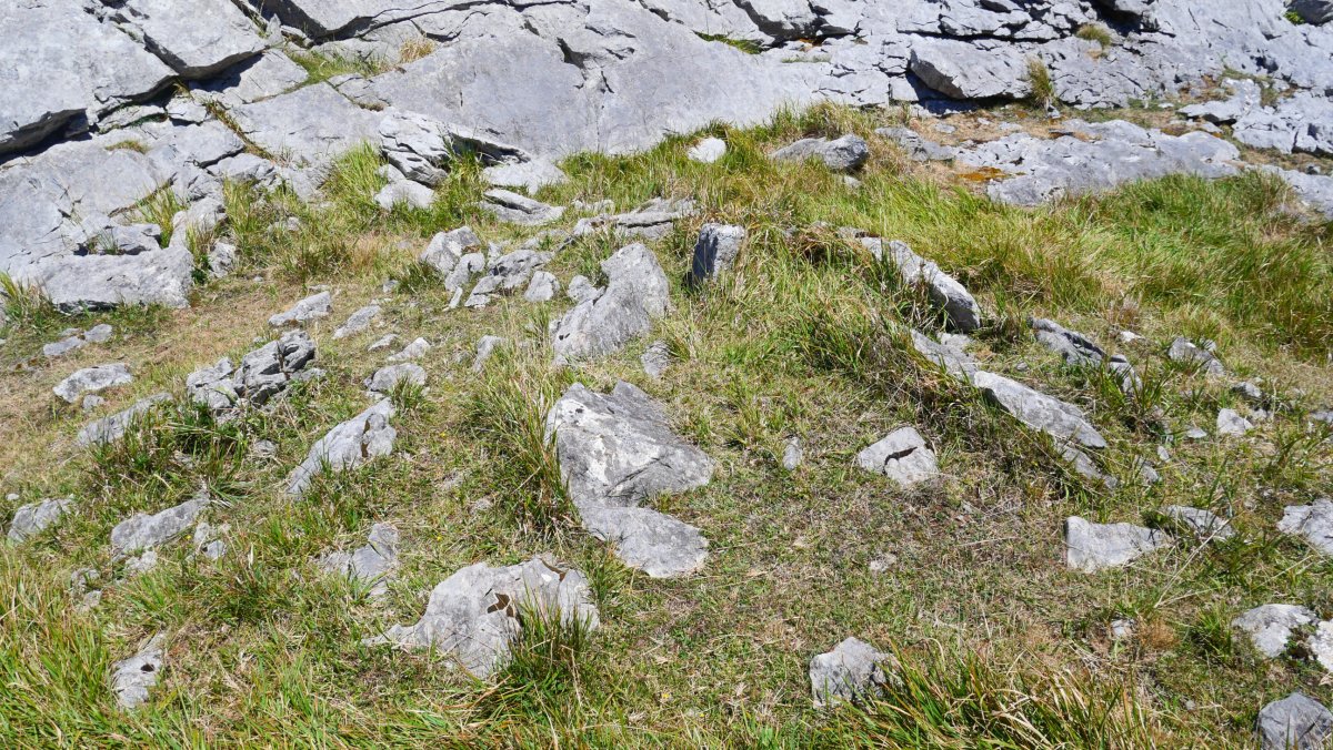 Ormatza I trikuharria