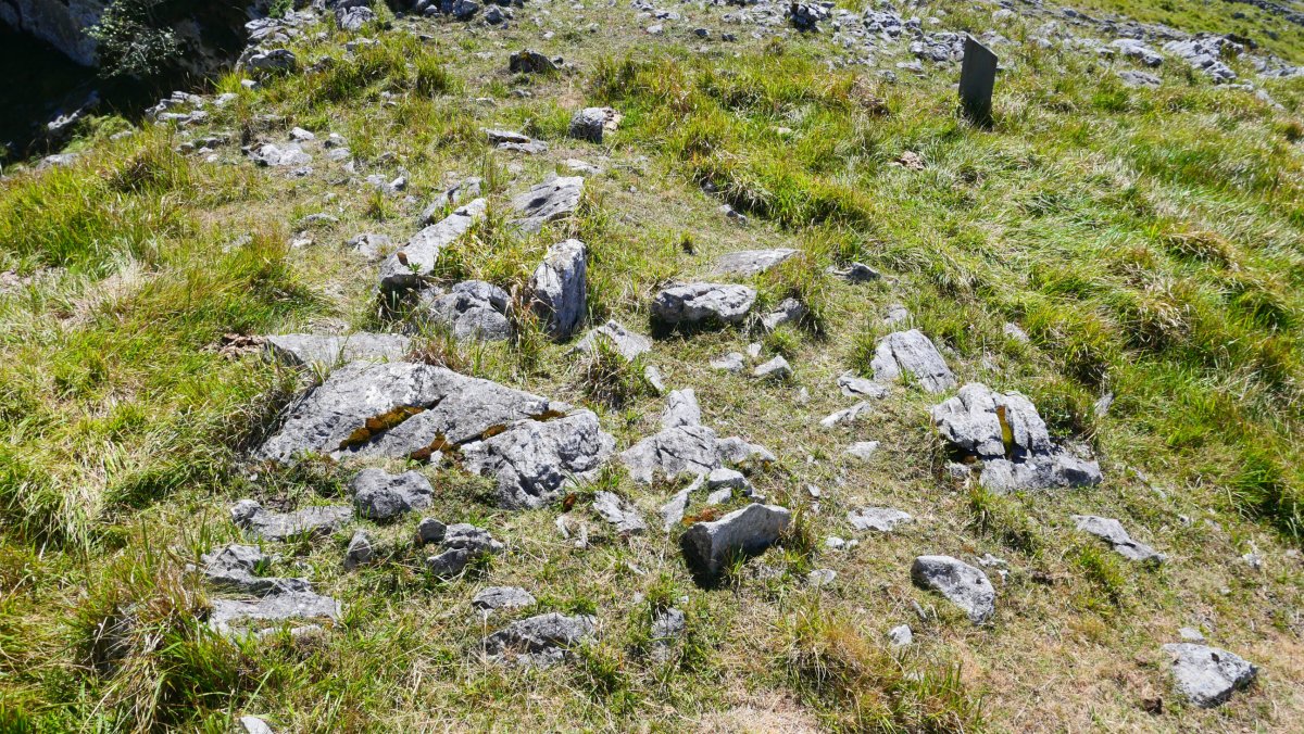 Ormatza I trikuharria