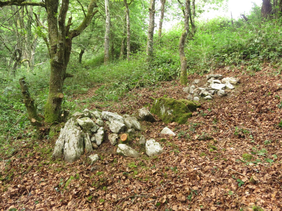 Campo tumular ARTEGIETA III