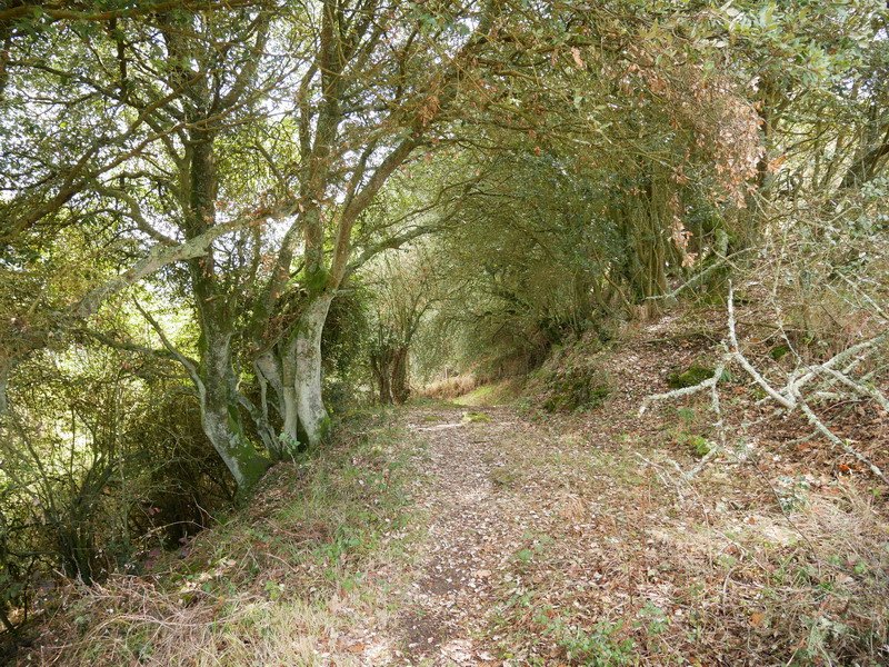 Jaitsierako pasarte bat