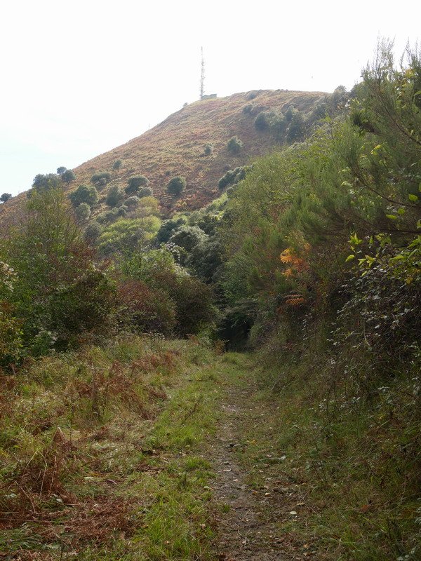 Zipar, ipar-mendebaldetik ikusita