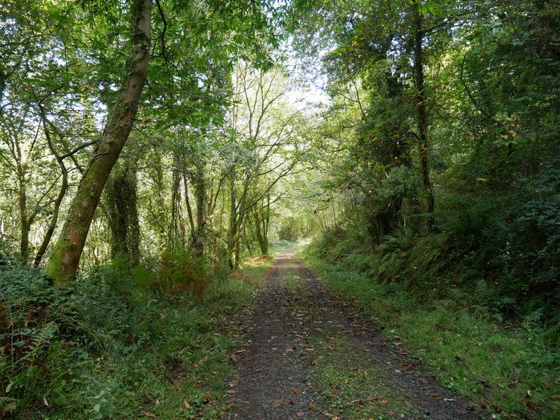 Jaitsierako pasarte bat