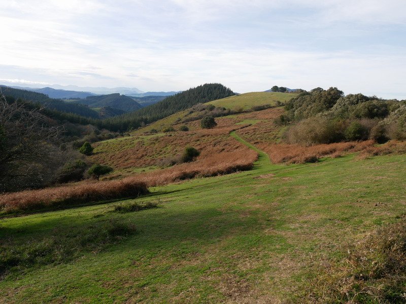 Garduzulo aterpetik jaisten