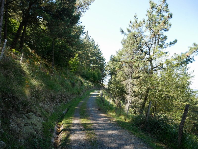 Arrastalekura iristen