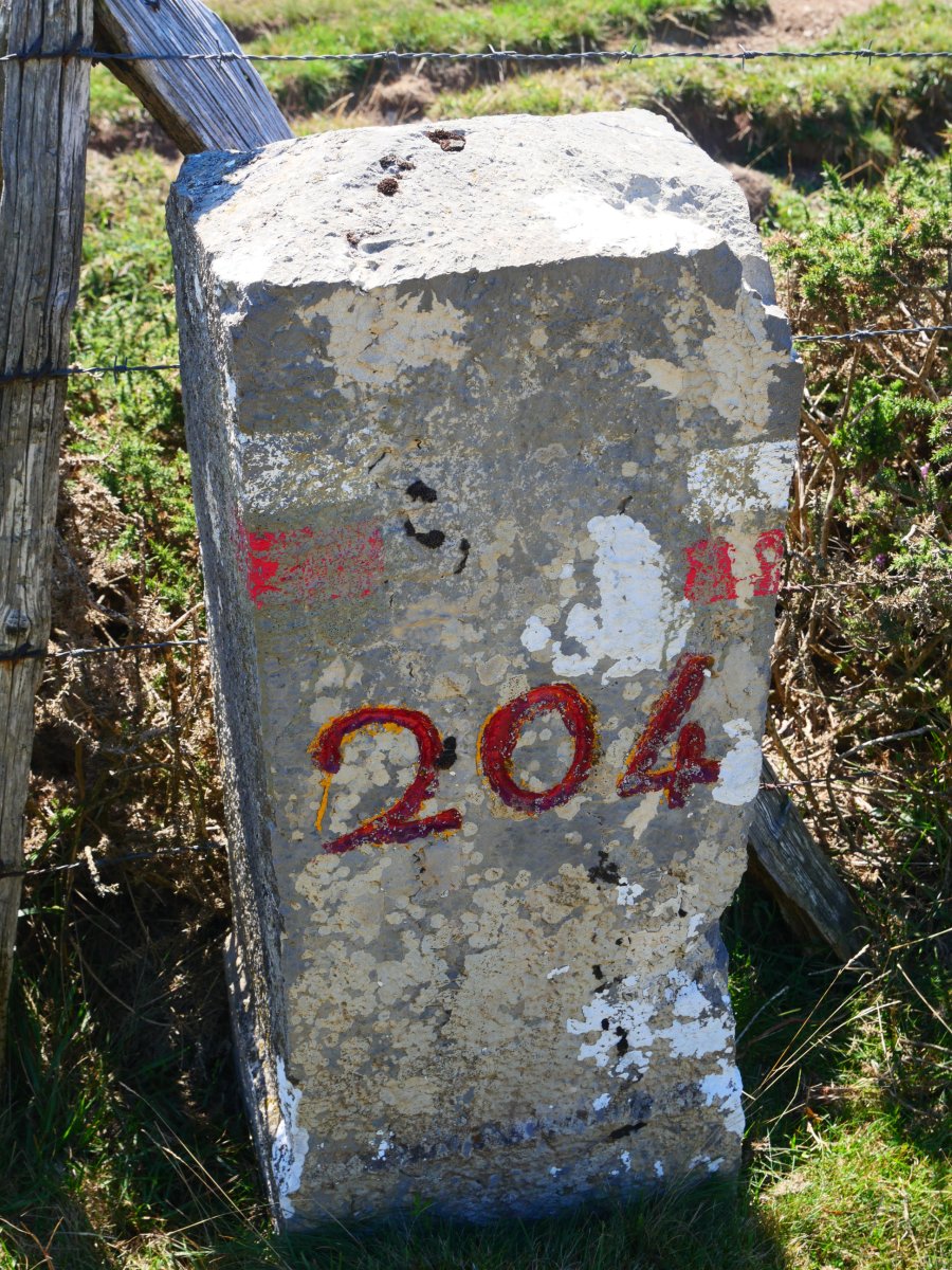 204. mugarria, Arnotegiko lepotik gertu