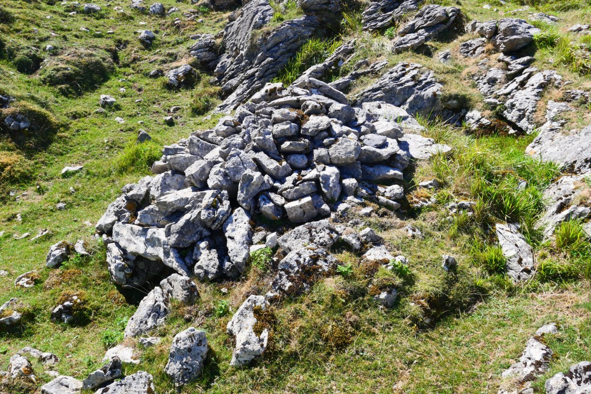 Zabalegi lepoko arkuek