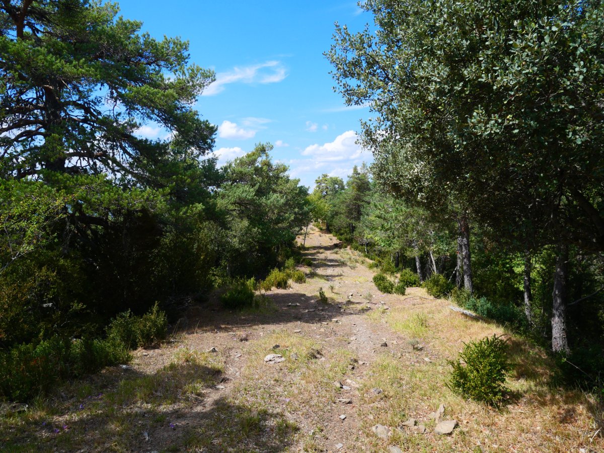 Marzaetxeko bideko pasarte bat