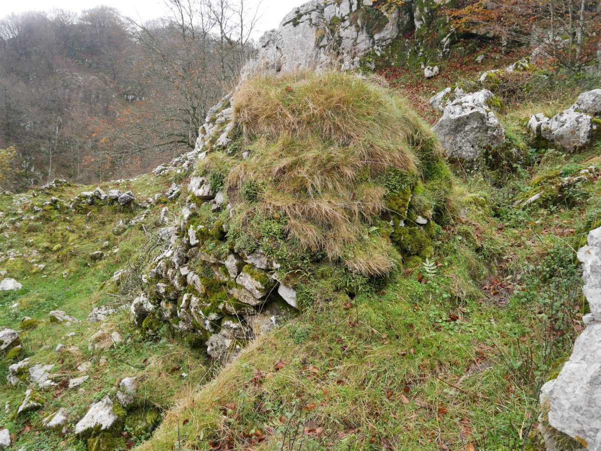 Arkue Iturtxulo aldean