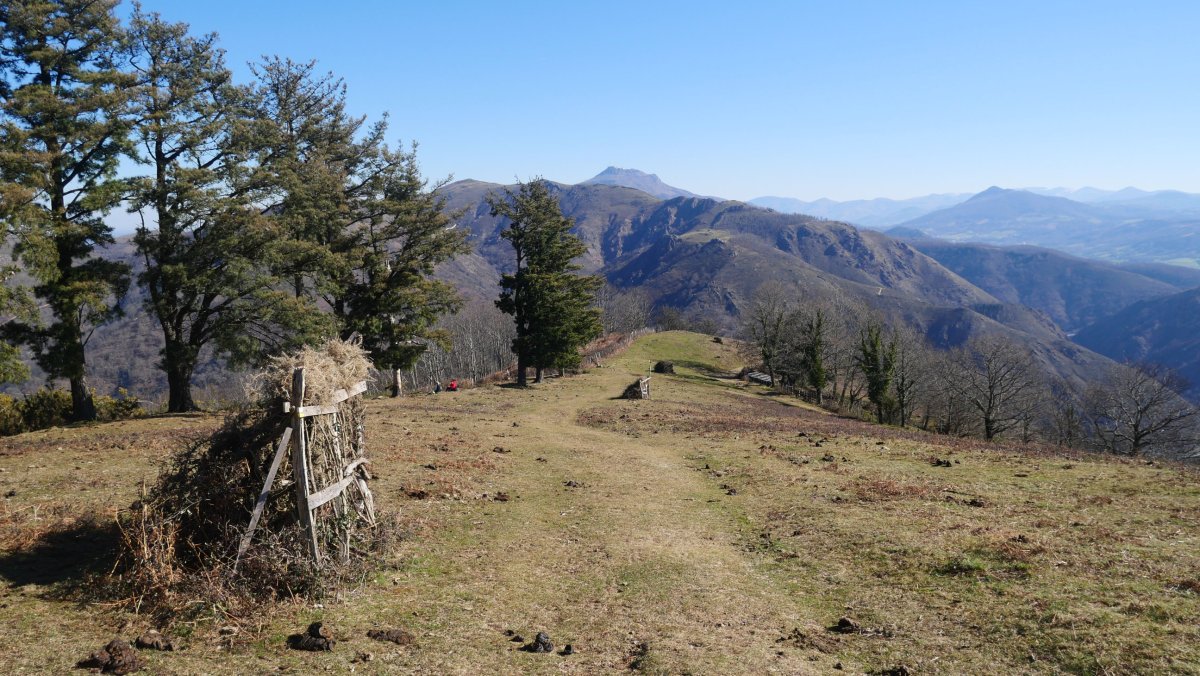 Pagogañatik Endarlartzara jaisten