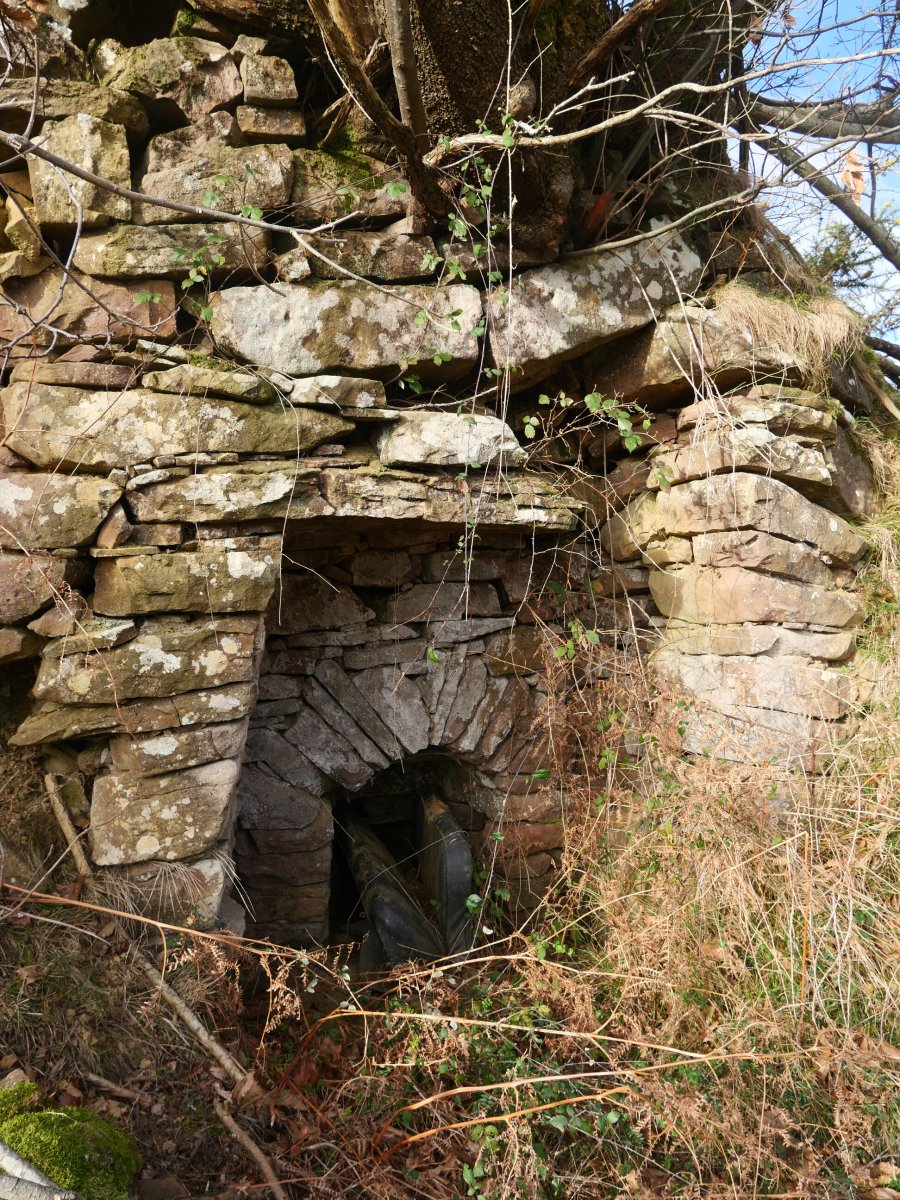 Mitxeleneko bordako karobia