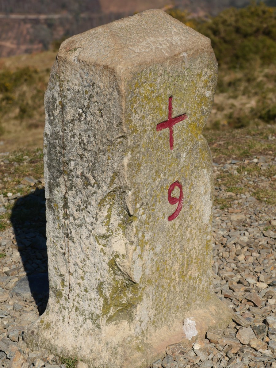 R9 mugarria, Manddale