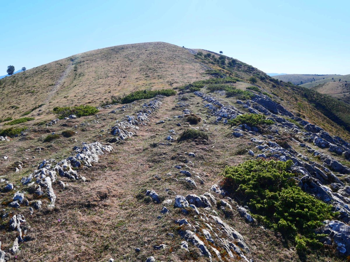 Auztarri mendebaldeko bizkarretik