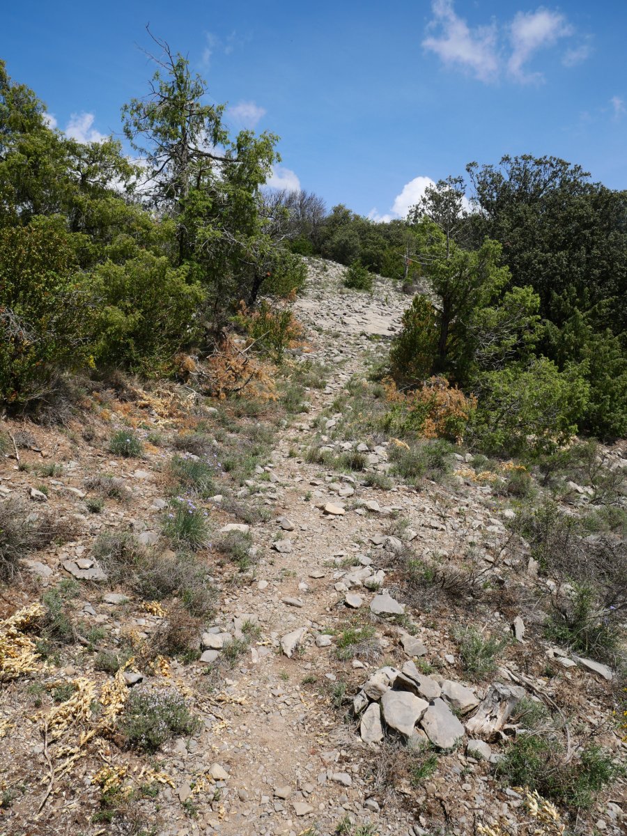 Igoerako pasarte bat hegoaldeko hegian. Bidezidorra ipuru, ezkai eta izpiliku artean.