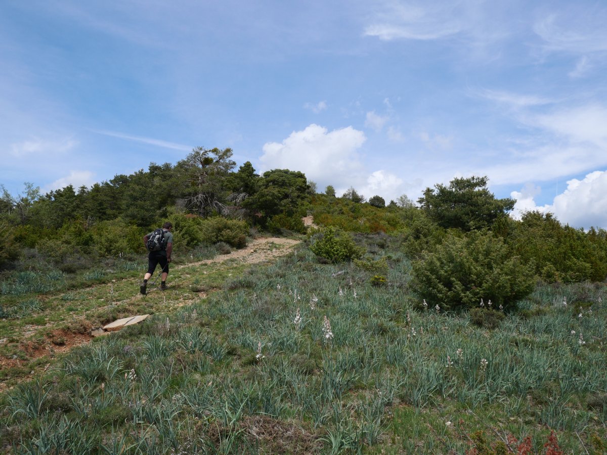 Azken txanpa hegoaldeko hegian gora