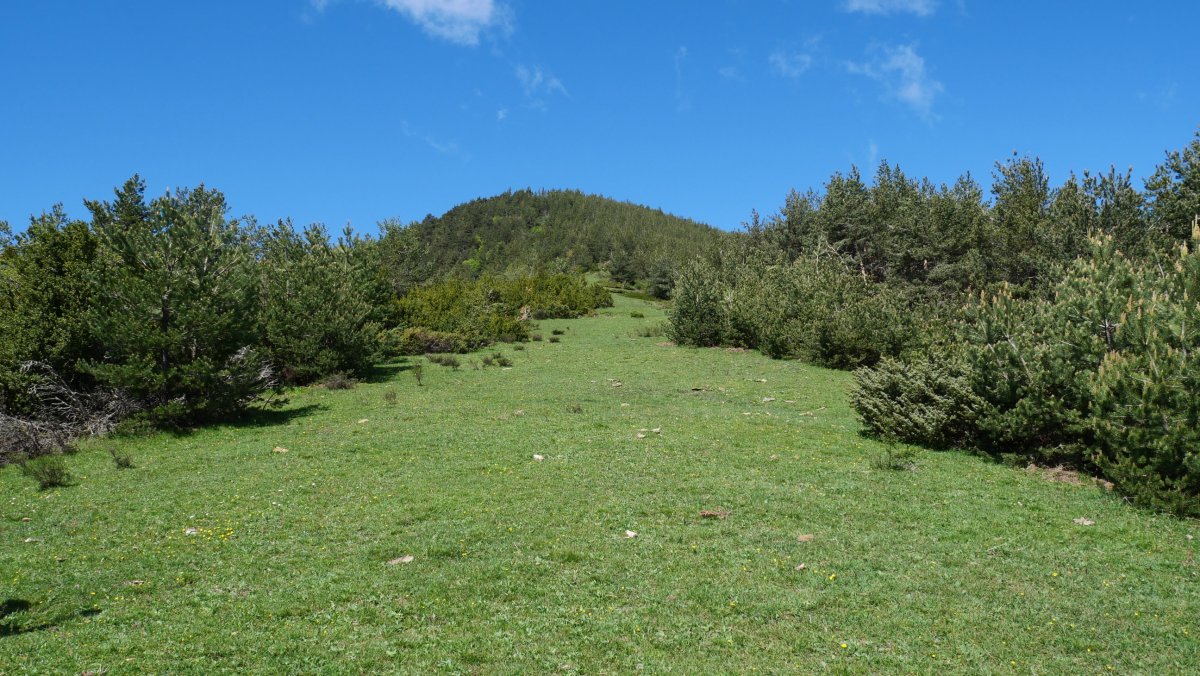 La Turrietako bizkarrean gora