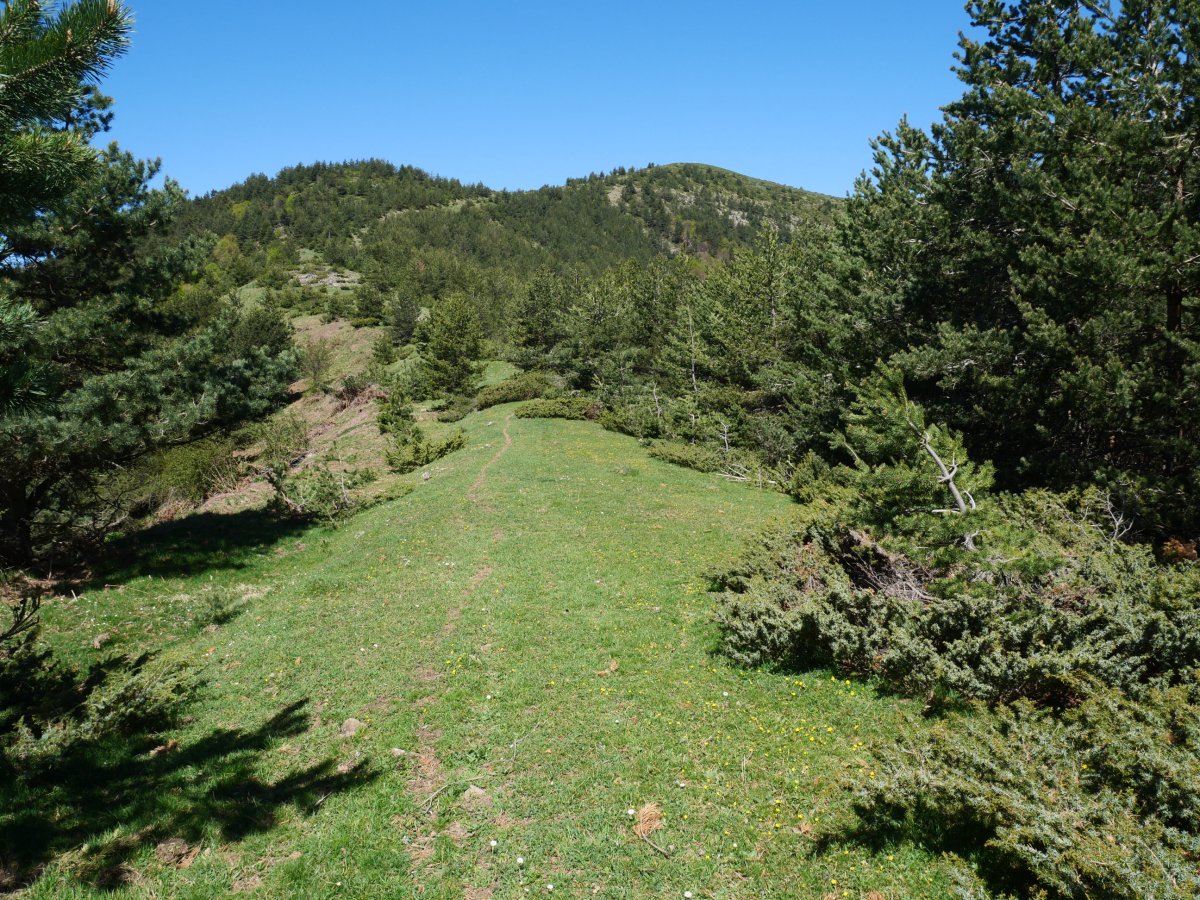 HEko bizkarrean gora