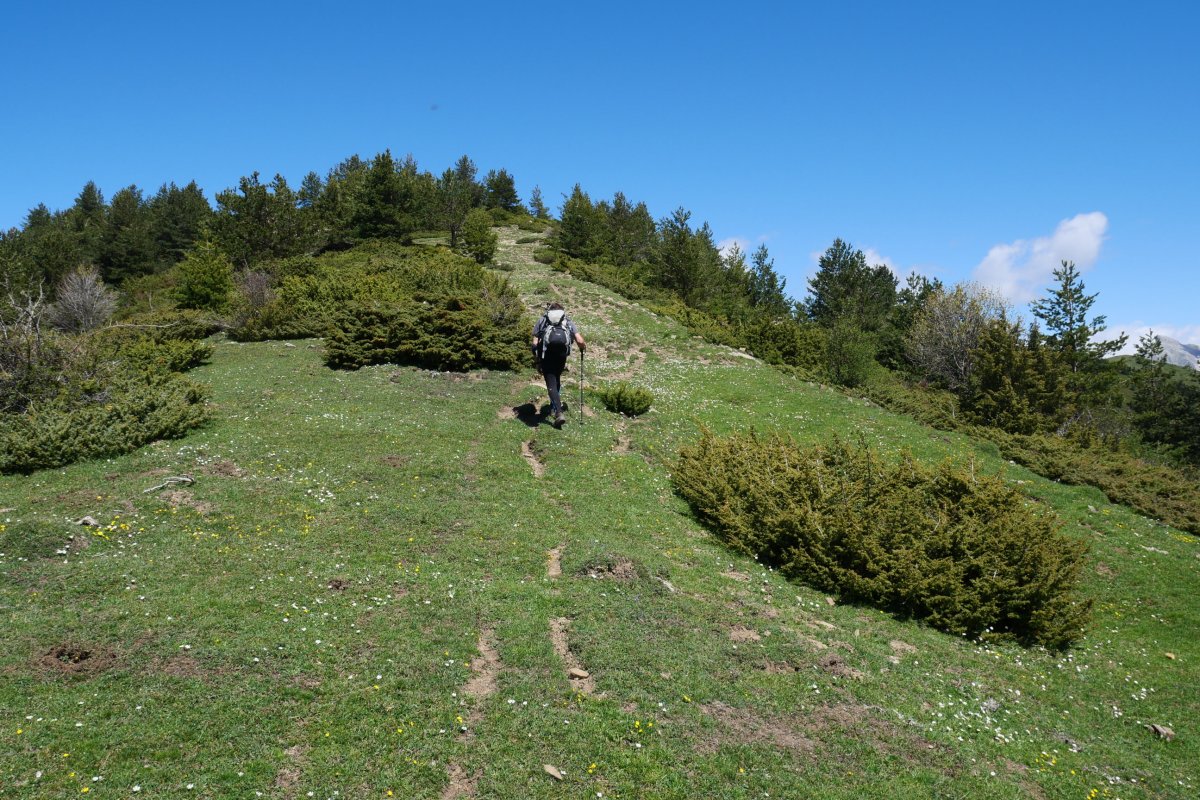 HEko  bizkarrean gora