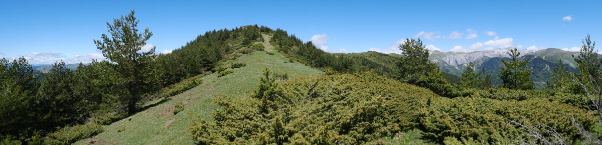 Kalbeira hegoaldeko bizkarretik