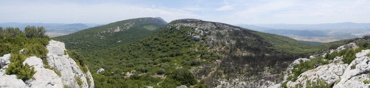 Ibarra Romastacako ekialdeko ertzetik