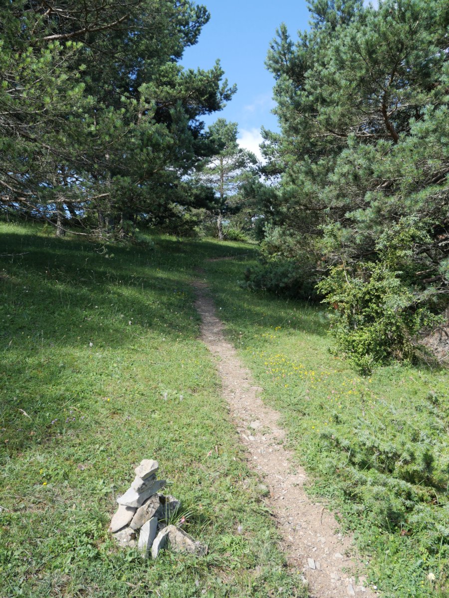 Igoerako bidezidorra