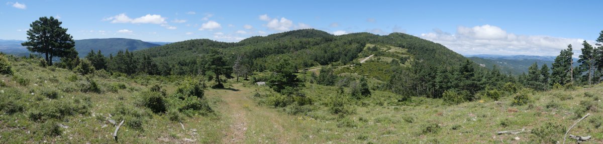 Virgen de Peña, Bardipeña aldetik