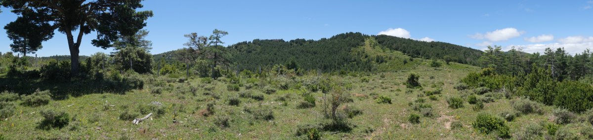 Valdepeña IEko bizkarretik